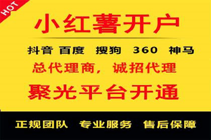 高效SEM托管公司案例对比分析